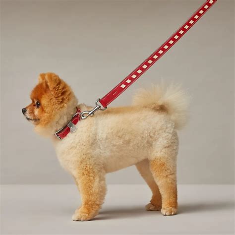 hermes dog leash